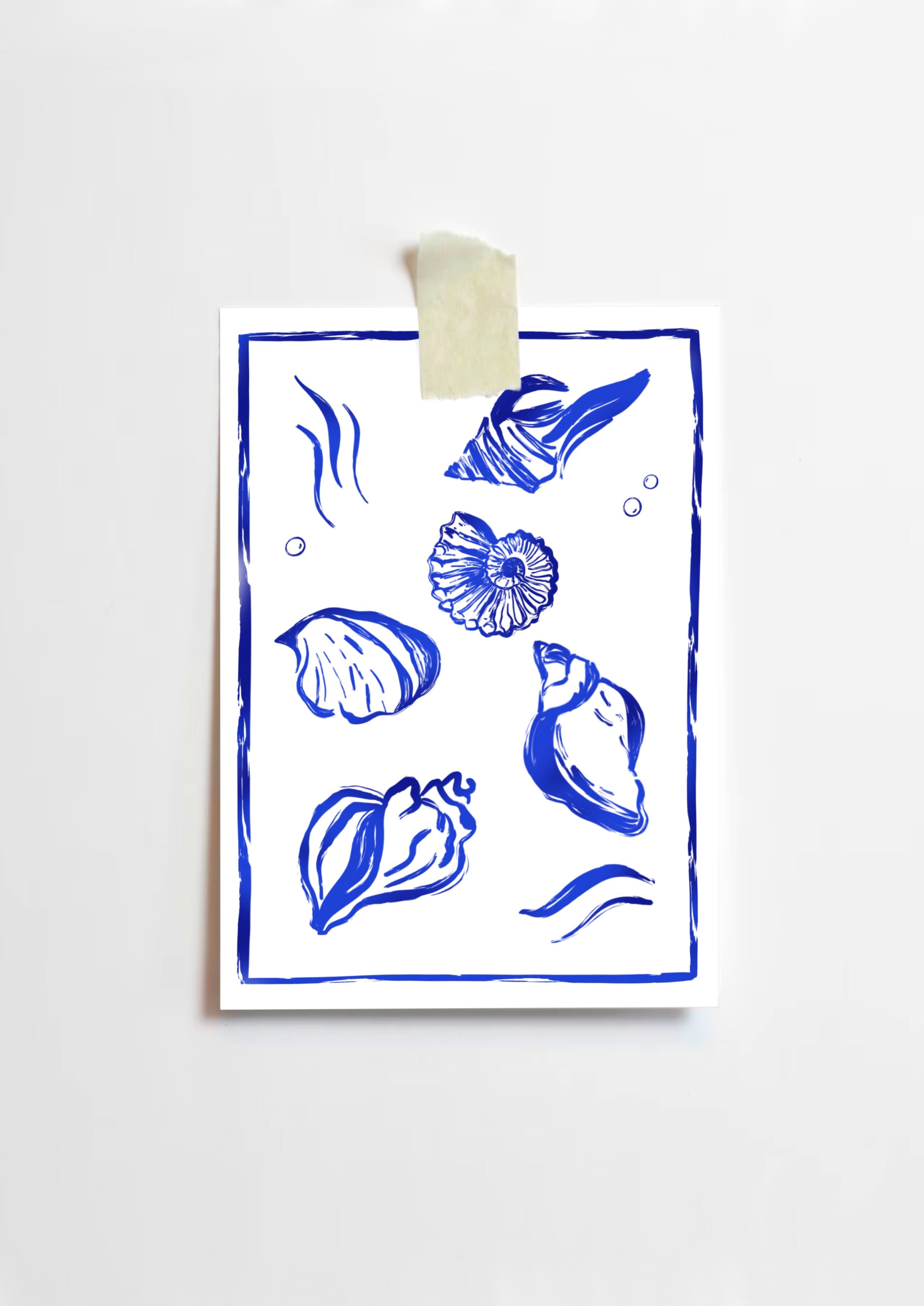 Les coquillages – Image 3
